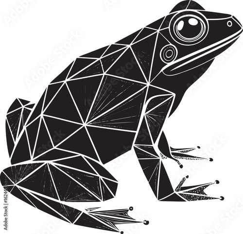 Geometric black frog with white lines amphibian