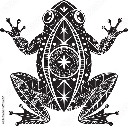 Ornate black and white frog illustration amphibian