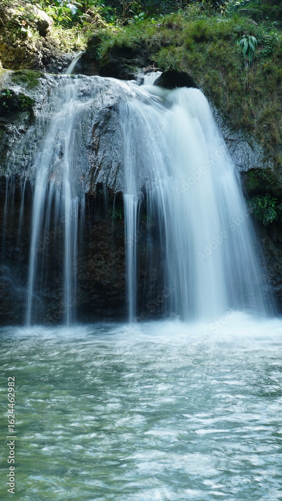 Serene Forest Waterfall Serene Forest Waterfall