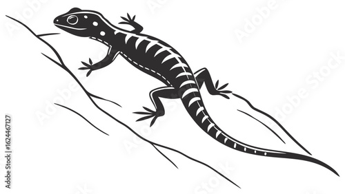 bearded dragon lizard