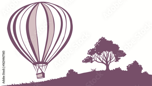 hot air balloon