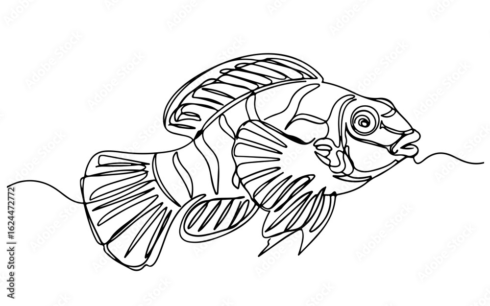 Fototapeta premium mandarin fish, continuous one line art, black and white, vector illustration, isolated on white background
