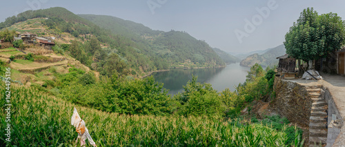 Slika na platnu Maizal y vista del embalse del río Miño desde Pacios, Ribeira Sacra, Lugo, Galic