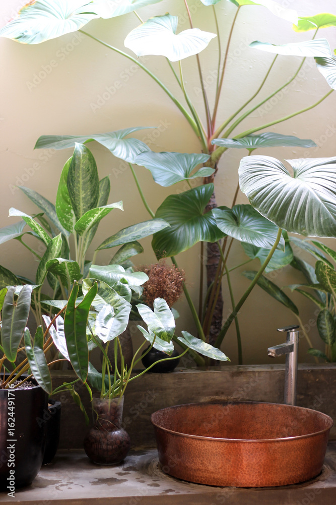 Fototapeta premium Indoor tropical garden bathroom with lush green plants, a rustic copper sink, and a modern faucet. Natural light creates a serene, spa-like atmosphere. Perfect for eco-living and interior themes.