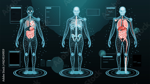Human body scan with internal organs and skeleton in medical technology illustration