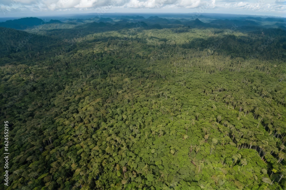 Naklejka premium 風景, 山, 空, 自然, 森, 緑, 草, 木, 景色, 雲, サマータイム, ヒル, 牧草地, 低地, 野原, 