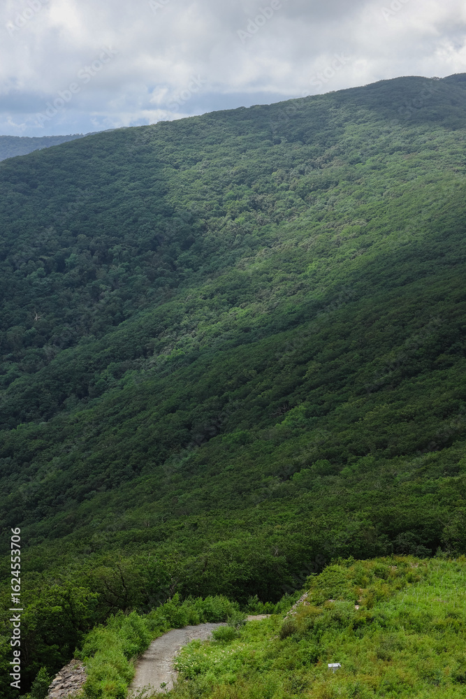 Naklejka premium Green Hills and Winding Mountain Path