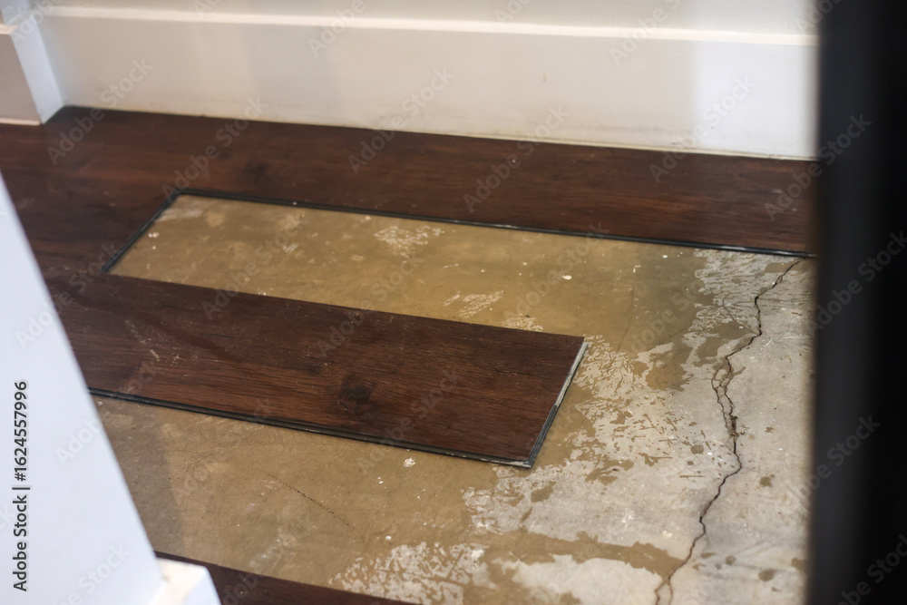 Fototapeta premium Slab Leak Water Damage Under Laminate Flooring