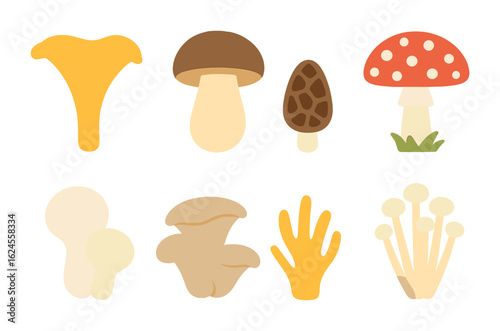 Whimsical Forest Fungi. Flat vector mini-illustrations forest fungi in colors children's illustrations: