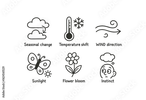 hand drawn cute doodle style line isolated on white background butterfly migration (conditions): seasonal change temperature shift wind direction sunlight flower bloom instinct