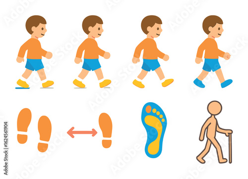 Children's Gait Cycle Illustrations. Flat vector mini-illustrations Human gait cycle in colors children's