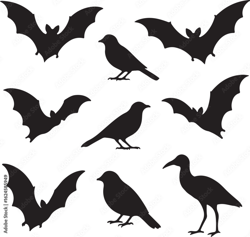 Fototapeta premium vector silhouettes of birds Bats and Birds Silhouette Set – Contrasting Winged Creatures in Flight and Stillness