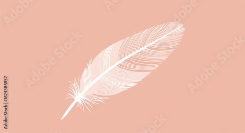 White feather floating on a plain rose background for use in invitations