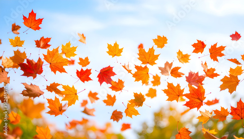 Fiery Cascade of Autumn Maple Leaves Against a Bright Blue Sky
