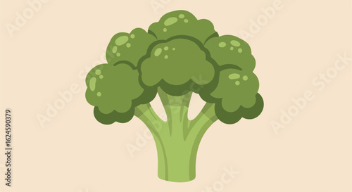 Isolated green broccoli on plain background, to illustrate healthy eating habits