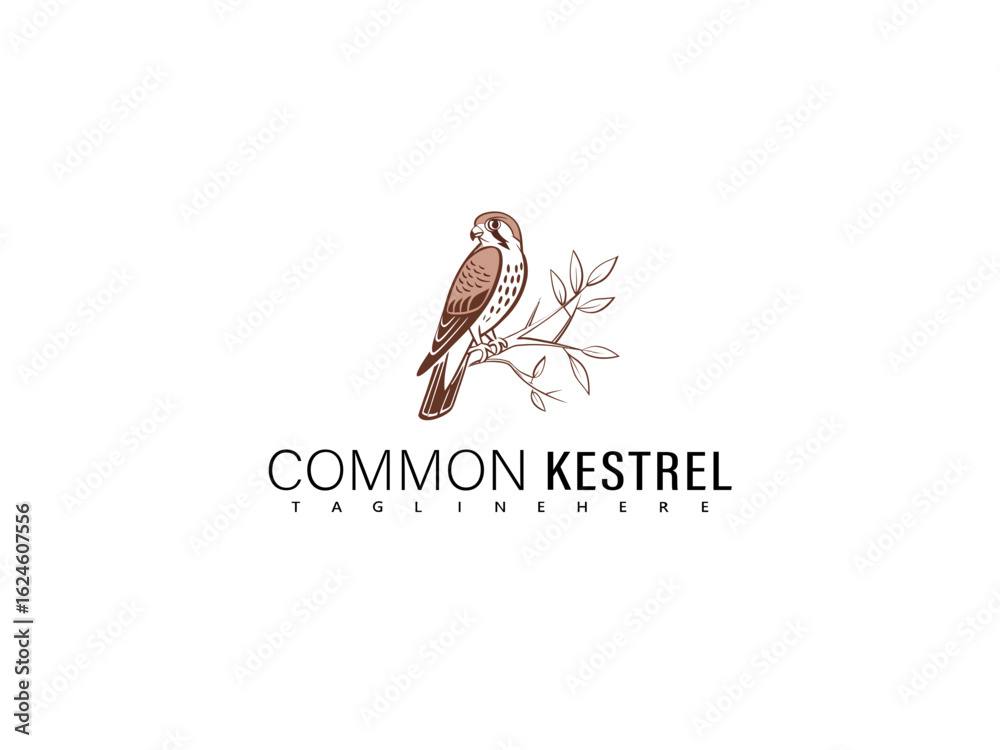 Obraz premium Elegant illustration of a cute Common Kestrel perched on a natural branch with charming cartoon details, perfect for nature-themed educational children’s books, wildlife logos, and creative animal bra
