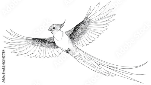 Vibrant Quetzal Bird Flying Coloring Page Illustration Vector