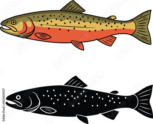 Two illustrative depictions of a colorful trout one in realistic color and the other as a black silhouette