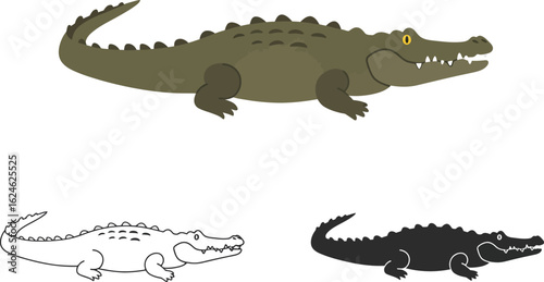 Collection of three distinct illustrations of a crocodile in different styles including a colored drawing a sketch and a silhouette
