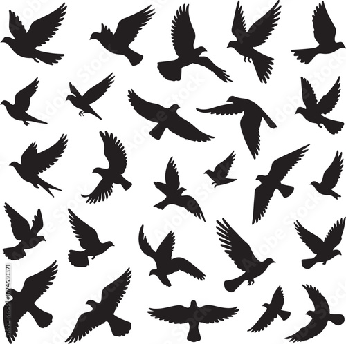 Flying Birds Silhouettes Set