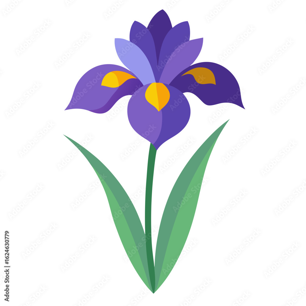 Naklejka premium Purple Iris Flower Illustration