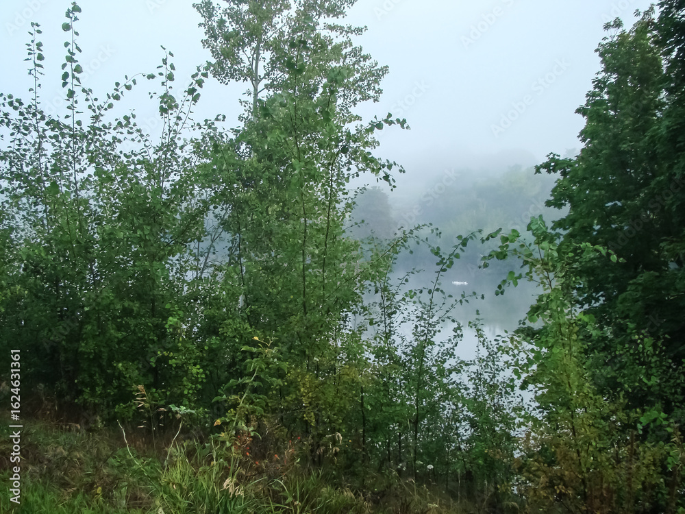 Obraz premium Foggy morning in the countryside in summer.