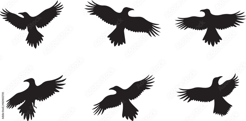 Obraz premium Soaring Bird Silhouettes Set for Nature-Inspired Designs 