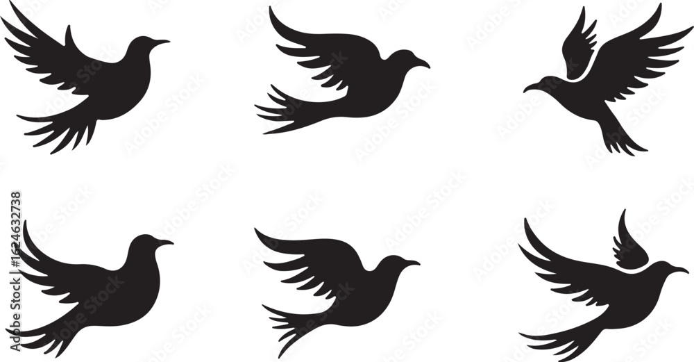 Obraz premium Soaring Bird Silhouettes Set for Nature-Inspired Designs 