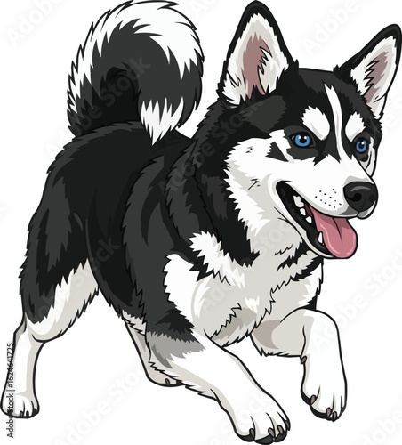 Happy Alaskan Klee Kai Running - Playful Dog Illustration Vector

