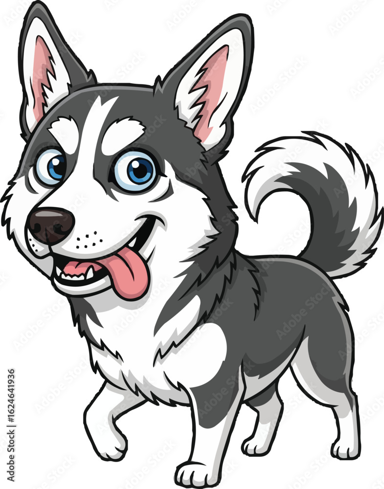 Cute Alaskan Klee Kai Puppy - Happy Miniature Dog Walking Vector Cute Alaskan Klee Kai Puppy - Happy Miniature Dog Walking Vector