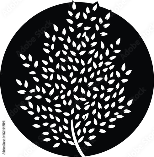 buckwheat groat on white background.eps