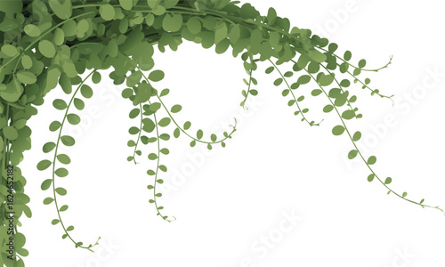 Digital of Lush Green Dischidia Vine Hanging Down Against White Background