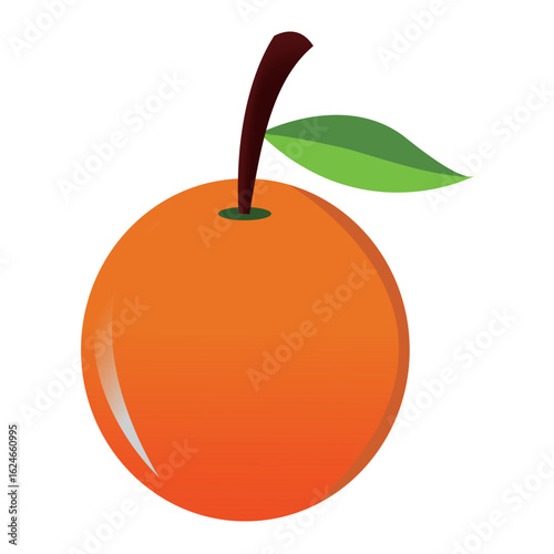 Vetor illustration of an orange fruit with a dark brown stem and a single green leaf.