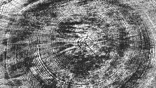 tree rings wood texture vector background, grunge radial wood stump illustration, rustic tree trunk cross section sketch, black and white forest tree cut texture pattern