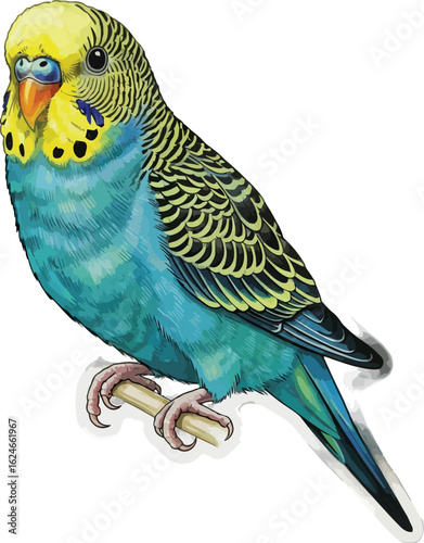 Detailed Vector Illustration of a Budgerigar Perched on a Branch with Vibrant Blue and Yellow Plumage and Intricate Feather Details