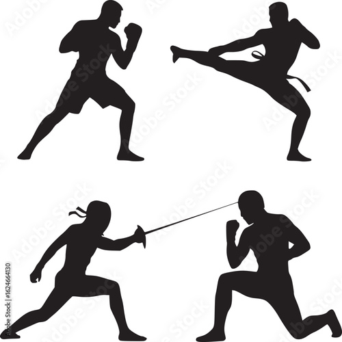 Vector art of silhouettes of martial arts and combat sports isolated on white background
