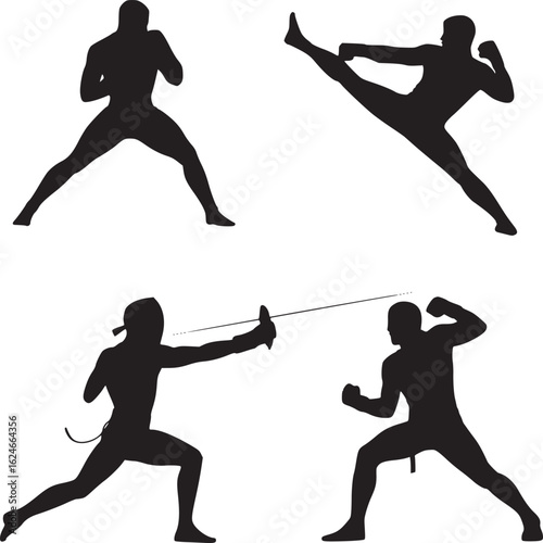 Vector art of silhouettes of martial arts and combat sports isolated on white background