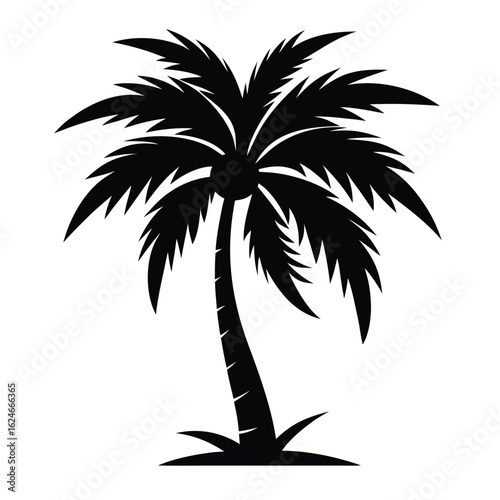 palm tree silhouette
