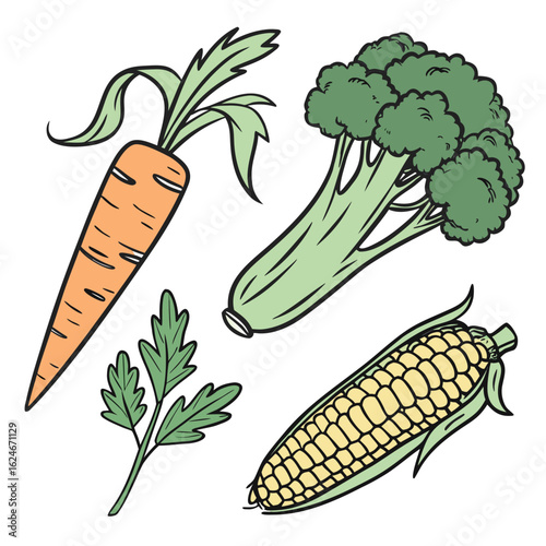 Illustration of carrot, broccoli, corn, and parsley isolated on white background