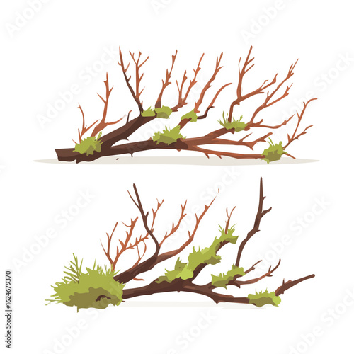 Christmas dry twigs and forest moss set in an isometric flat 2D style — transparent background, minimal clean look, cute cartoon vector illustration by me.