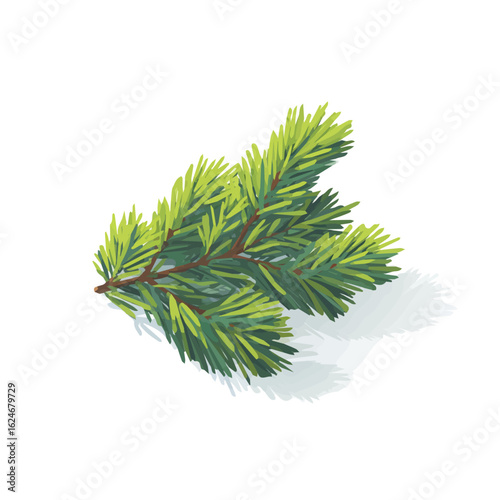 An illustration flat 2D icon evergreen spruce branch set illustration, vector clipart isolated on a transparent background — clean animation-style design, created by me, EPS format