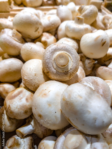 Fresh white mushrooms displayed in a market, ready for culinary use and enhancing various dishes with flavor and texture during the autumn season