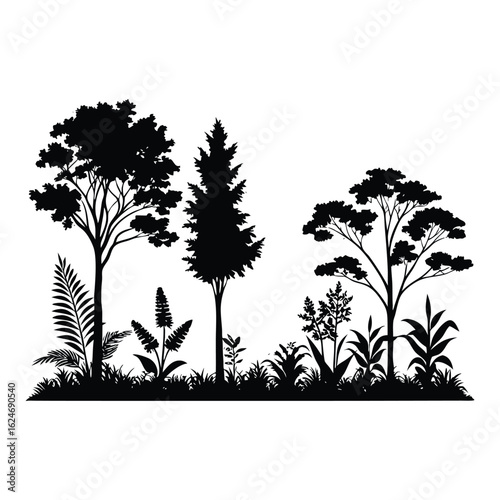 Foliage silhouette. This image shows a black silhouette of various trees and plants against a white background, depicting a natural forest scene. 