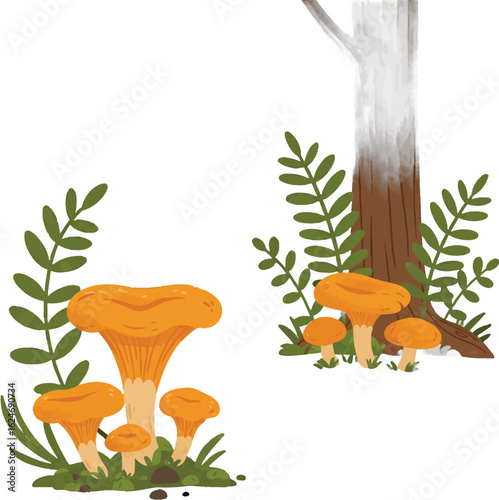 Enchanting forest floor illustration featuring bright chanterelle mushrooms and verdant foliage around a sturdy tree trunk, capturing nature's beauty