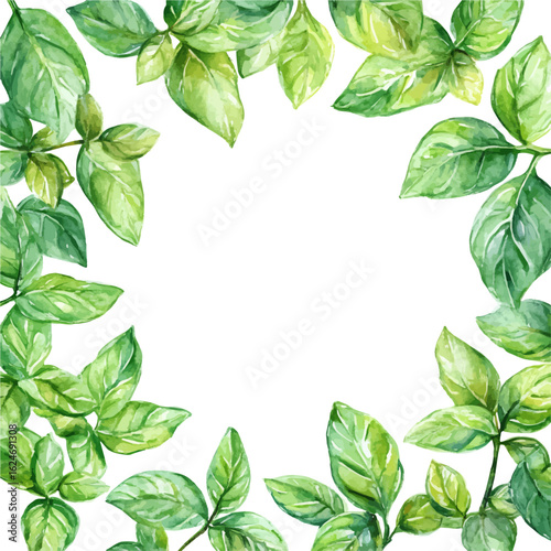 A watercolor spring foliage frame with basil leaves isolated on a white background, AI painting style, vector set available in EPS format. Hand-painted watercolor design, vectorized