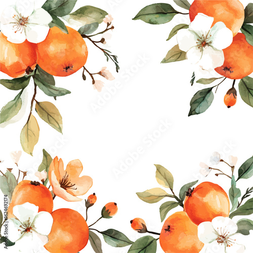 A watercolor tropical floral and fruit frame with orange and citrus blossom isolated on a white background, AI painting style, vector set available in EPS format. Hand painted watercolor design

