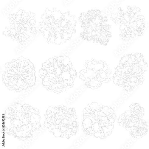 top view trees, cad outlined set of trees	
