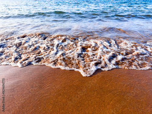 Fototapeta Naklejka Na Ścianę i Meble -  Tranquil wave gently crashing on sandy beach under clear blue sky