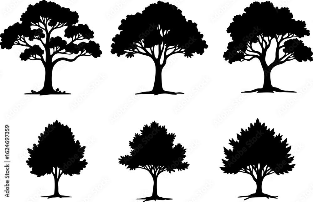 Fototapeta premium Majestic Tree Silhouette Collection – 7 Elegant Nature Designs