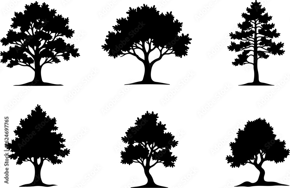 Fototapeta premium Majestic Tree Silhouette Collection – 7 Elegant Nature Designs